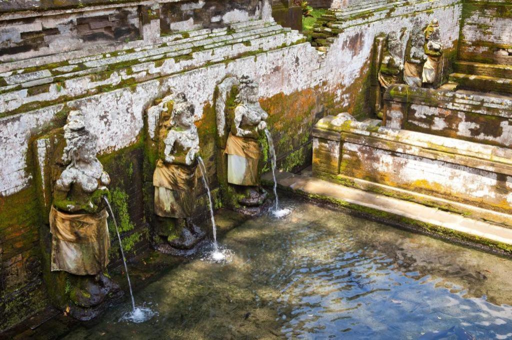 Casa Ganesha Hotel Ubud Dış mekan fotoğraf