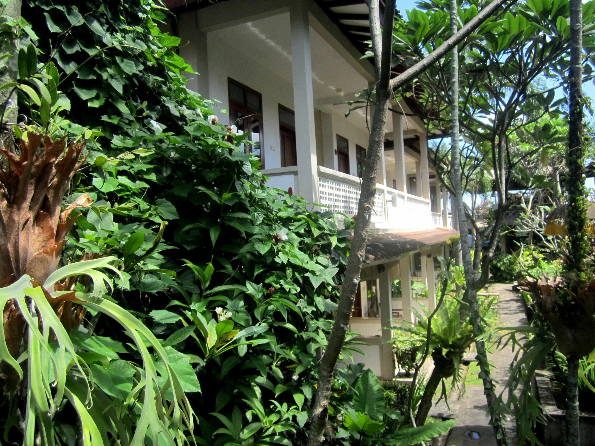 Casa Ganesha Hotel Ubud Dış mekan fotoğraf
